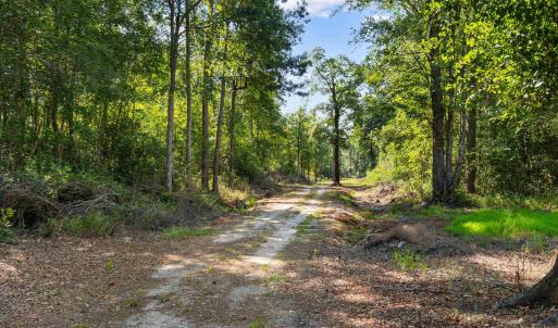Photo #10 of TBD Cartwheel Rd., Mullins, SC 29.8 acres