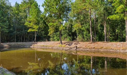 Photo #3 of TBD Cartwheel Rd., Mullins, SC 29.8 acres