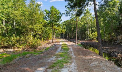 Photo #6 of TBD Cartwheel Rd., Mullins, SC 29.8 acres