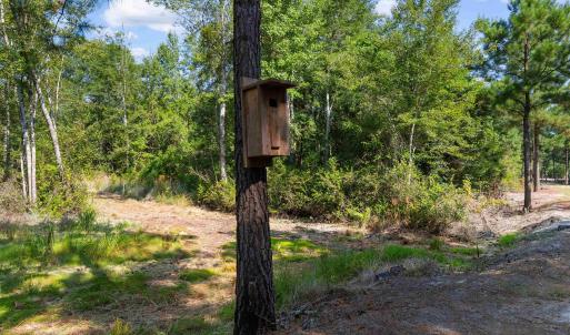 Photo #5 of TBD Cartwheel Rd., Mullins, SC 29.8 acres