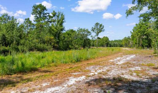 Photo #12 of TBD Cartwheel Rd., Mullins, SC 29.8 acres