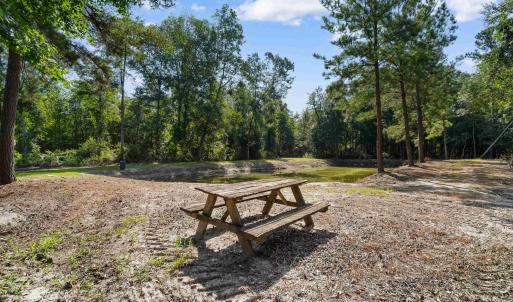 Photo #2 of TBD Cartwheel Rd., Mullins, SC 29.8 acres