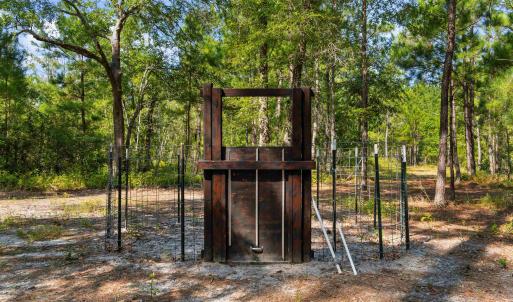 Photo #8 of TBD Cartwheel Rd., Mullins, SC 29.8 acres