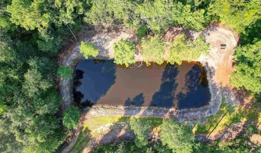 Photo #4 of TBD Cartwheel Rd., Mullins, SC 29.8 acres