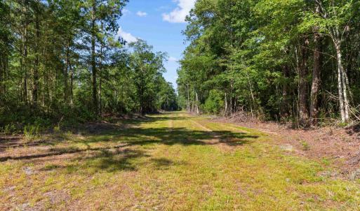 Photo #9 of TBD Cartwheel Rd., Mullins, SC 29.8 acres