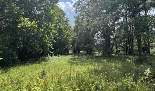 Photo #6 of tbd Society Dr., Conway, SC 5.6 acres