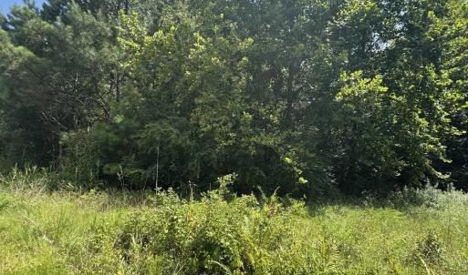 Photo #3 of tbd Society Dr., Conway, SC 5.6 acres