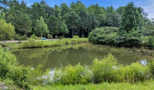 Photo #4 of 15.34 acres Whispering Hills Rd., Loris, SC 15.3 acres