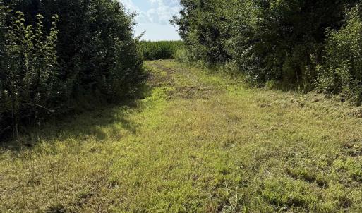 View of nature