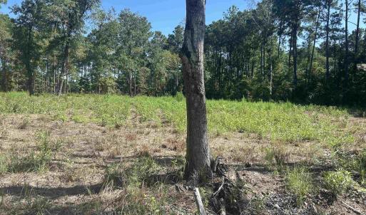 Photo #3 of 722 Romain Rd., McClellanville, SC 1.2 acres