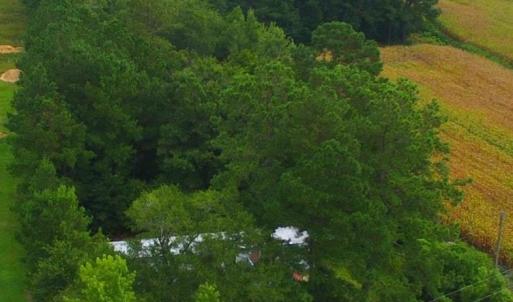 View of rural area with a forest
