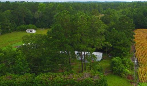 Drone / aerial view of a forest