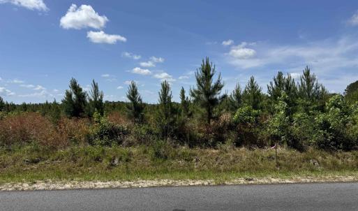 Photo #9 of 4782 Grainger Circle, Green Sea, SC 7.7 acres