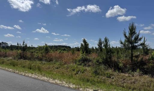 Photo #15 of 4782 Grainger Circle, Green Sea, SC 7.7 acres