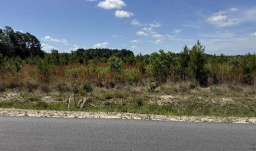 Photo #13 of 4782 Grainger Circle, Green Sea, SC 7.7 acres