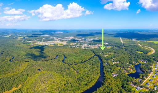 Drone / aerial view of a forest and a large body o