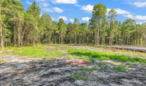 Photo #2 of Lot 1 Coats Rd., Loris, SC 2.3 acres