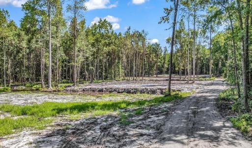 View of dirt / gravel road featuring a wooded view
