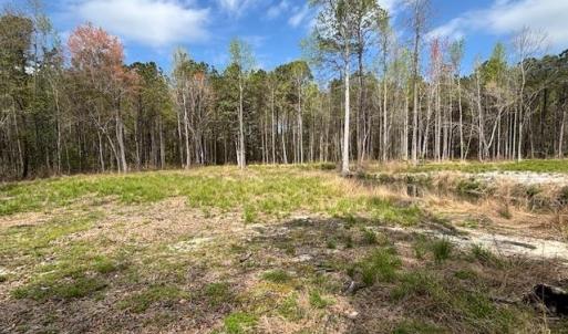 Photo #8 of Lot 1 Coats Rd., Loris, SC 2.3 acres