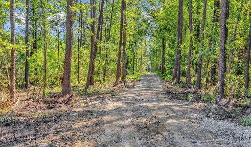 Photo #4 of Lot 2 Coats Rd., Loris, SC 1.4 acres