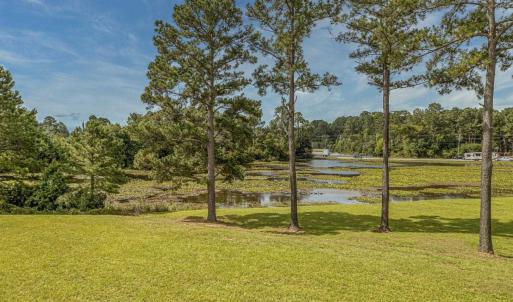 Photo #18 of Tract 4 Community Dr., Conway, SC 4.2 acres