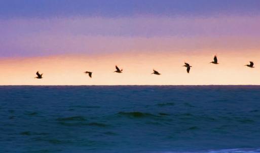 Photo #33 of Lot 1-A Brace Dr., Pawleys Island, SC 1.6 acres