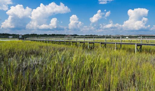 Photo #28 of Lot 1-A Brace Dr., Pawleys Island, SC 1.6 acres