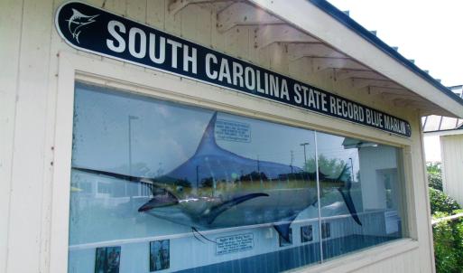Photo #25 of 58 Pineberry Dr., Georgetown, SC 0.2 acres