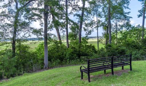 Photo #8 of 58 Pineberry Dr., Georgetown, SC 0.2 acres