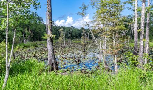 Photo #16 of 58 Pineberry Dr., Georgetown, SC 0.2 acres