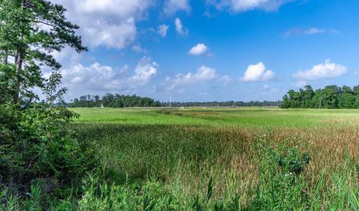 Photo #9 of 58 Pineberry Dr., Georgetown, SC 0.2 acres