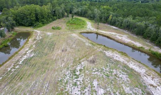 Photo #8 of 547 Hodges Rd., Kingstree, SC 9.3 acres