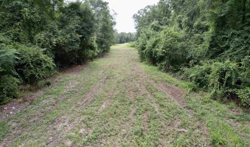 Photo #14 of 547 Hodges Rd., Kingstree, SC 9.3 acres