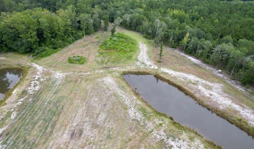 Photo #5 of 547 Hodges Rd., Kingstree, SC 9.3 acres