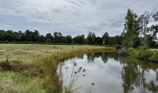 Photo #12 of 547 Hodges Rd., Kingstree, SC 9.3 acres