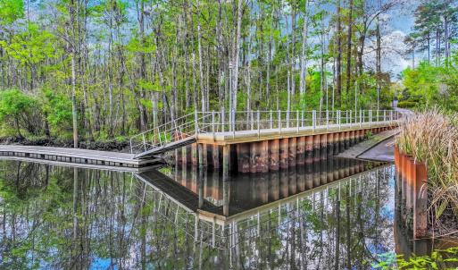Photo #23 of lot 15 Nautilus Dr., Murrells Inlet, SC 1.7 acres