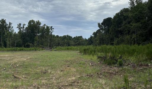 View of wooded area featuring a view of rural / pa