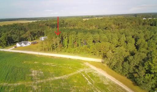 View from above of property featuring a heavily wo