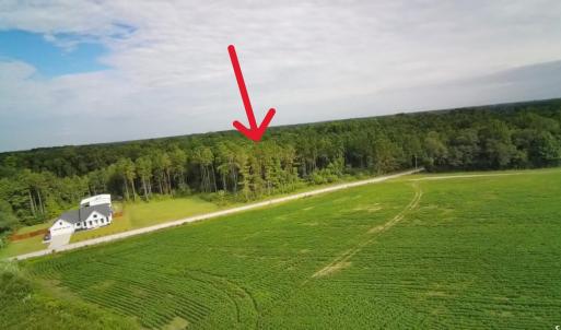 Drone / aerial view of a forest