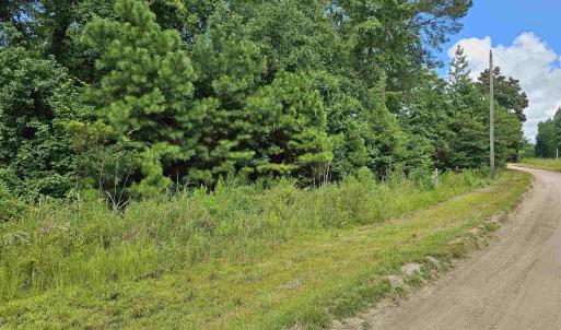 Photo #5 of TBD Powell Lane, Loris, SC 2.7 acres