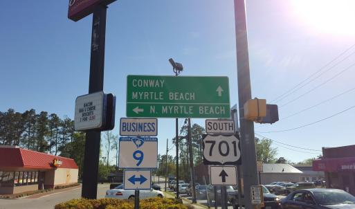 Photo #10 of TBD Powell Lane, Loris, SC 2.7 acres