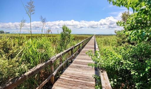 Photo #7 of Lot 45 Oak Bay Dr., Georgetown, SC 0.2 acres