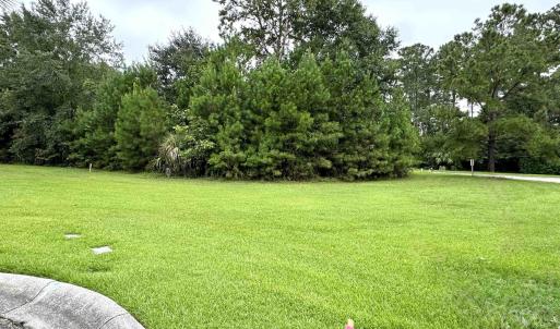 View of grassy yard with view of scattered trees