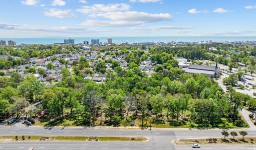 Drone / aerial view of a tree filled landscape