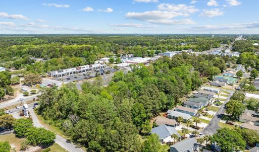 Bird's eye view of a forest