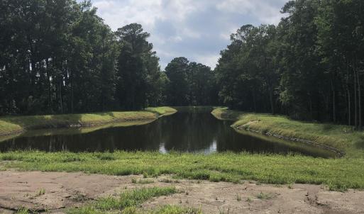 Surrounding community with a view of trees and a w