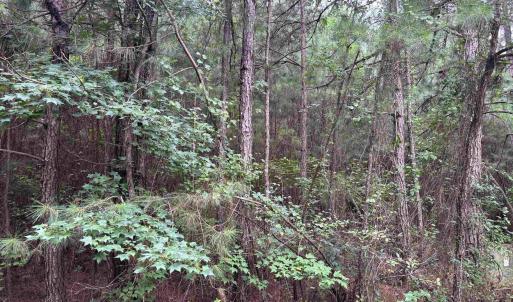 Photo #1 of Lot 5-D McGregor St., Lake City, SC 0.2 acres