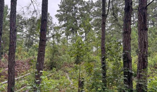 Photo #1 of Lot 11-D McGregor St., Lake City, SC 0.2 acres