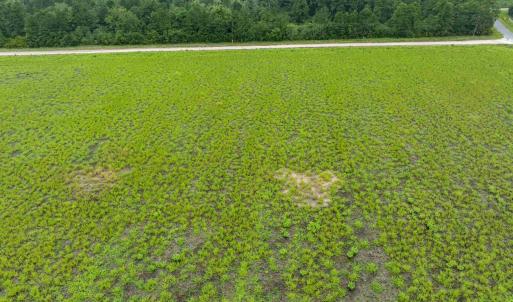 Drone / aerial view of a heavily wooded area