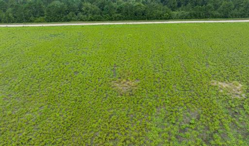Aerial view of a heavily wooded area